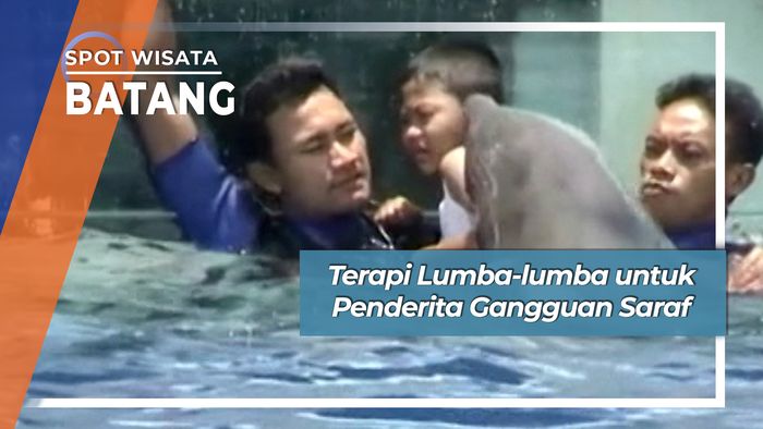 Terapi Lumba-lumba untuk Penderita Gangguan Saraf, Batang