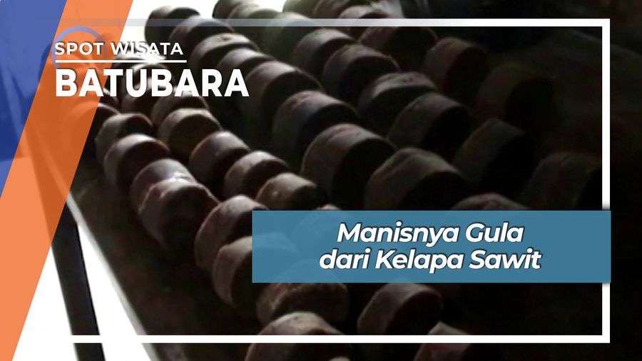 Manisnya Gula dari Kelapa Sawit, Batubara