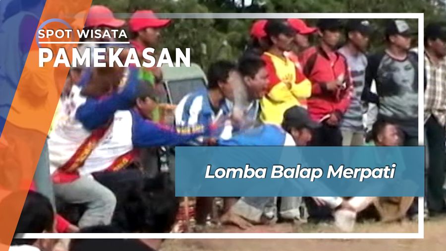 Lomba Balap Merpati, Pamekasan