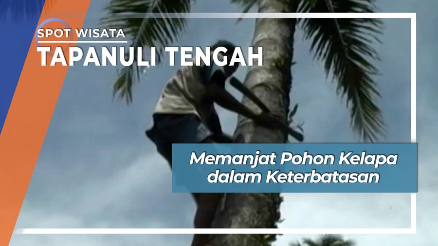 Tuna Netra Pemanjat Pohon Kelapa Tapanuli Tengah