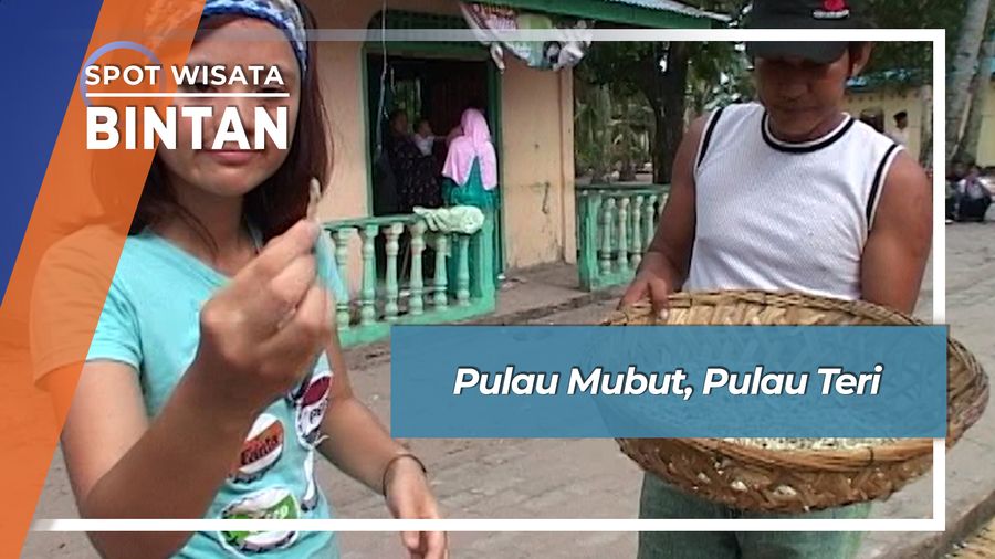 Pulau Mubut, Pulau Teri, Bintan