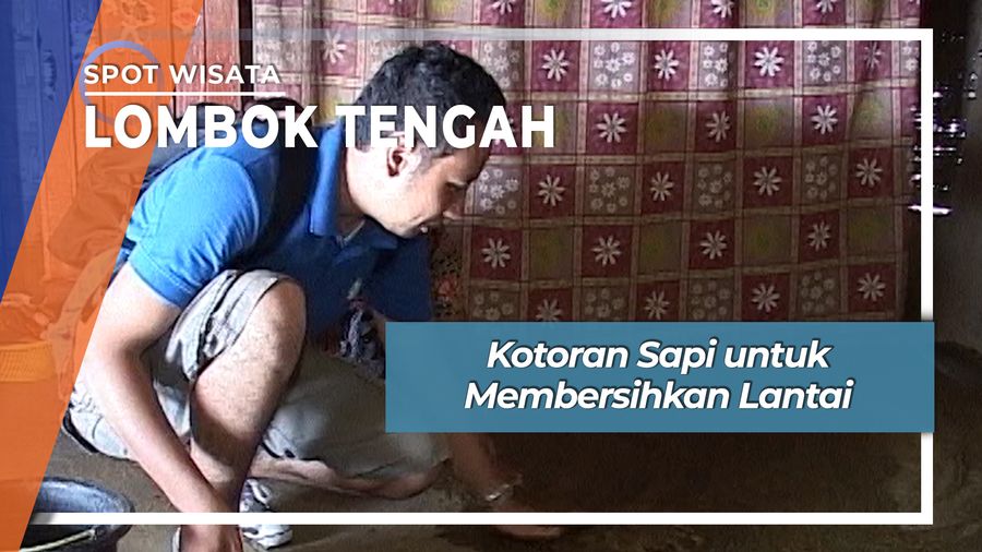 Kotoran Sapi untuk Membersihkan Lantai, Lombok Tengah