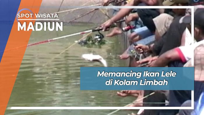 Memancing Ikan Lele di Kolam Limbah, Madiun
