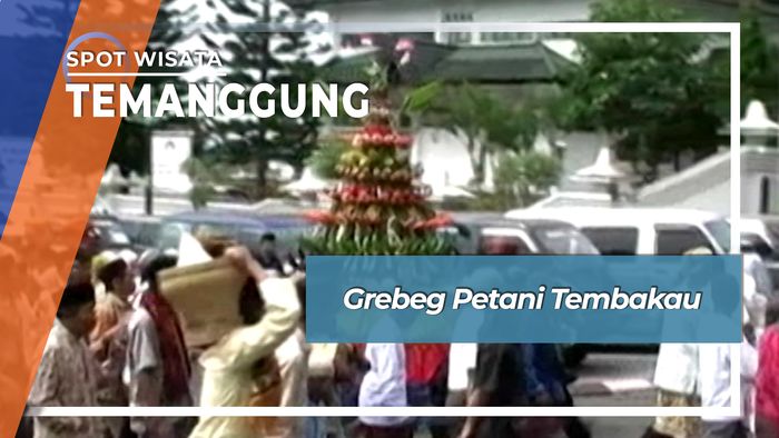 Grebeg Petani Tembakau, Temanggung