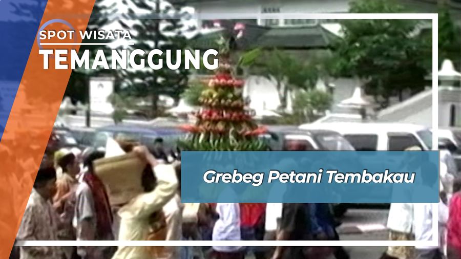 Grebeg Petani Tembakau, Temanggung