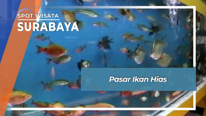 Pasar Ikan Hias, Surabaya