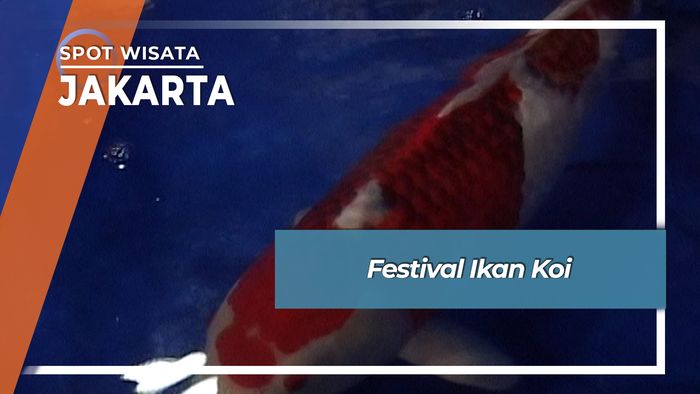 Festival Ikan Koi, Jakarta