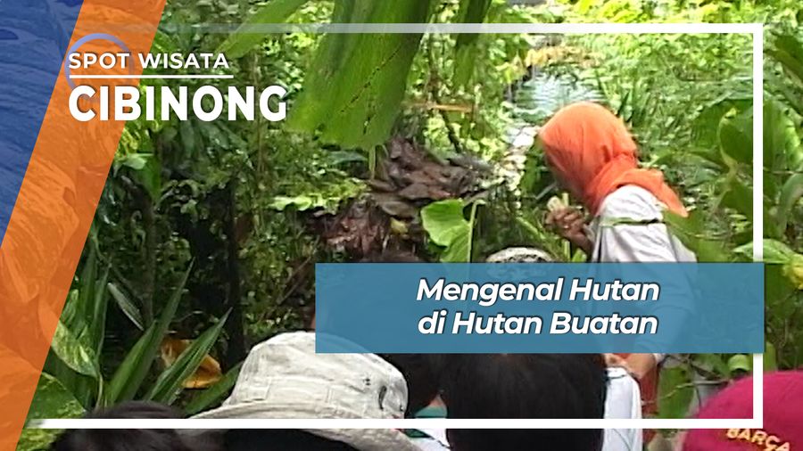 Mengenal Hutan di Hutan Buatan, Cibinong