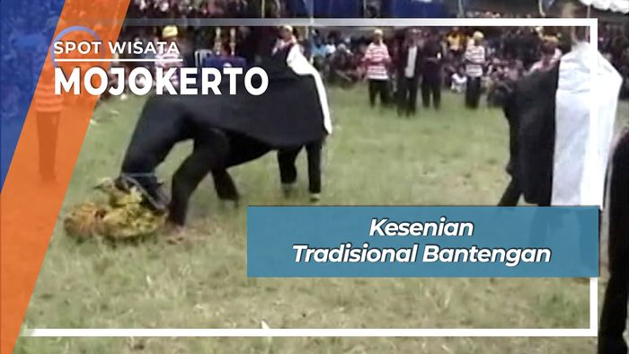 Kesenian Tradisional Bantengan, Mojokerto