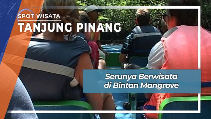 Seru Wisata Mangrove Teluk Sebong Bintan