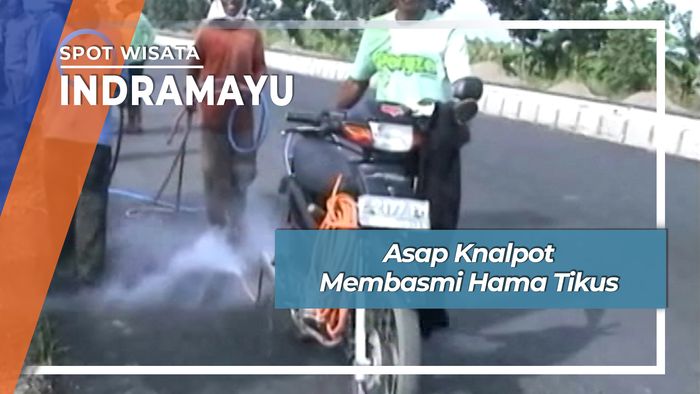 Asap Knalpot Membasmi Hama Tikus, Indramayu