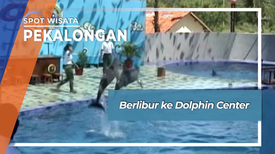 Berlibur ke Dolphin Center, Pekalongan