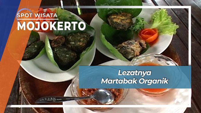 Lezatnya Martabak Organik, Mojokerto