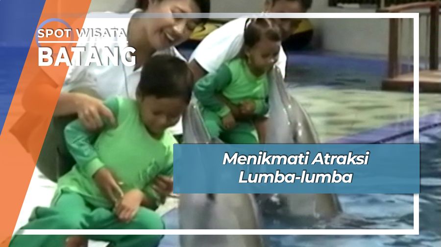 Menikmati Atraksi Lumba-lumba, Batang