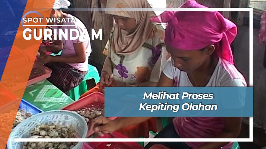 Proses Olahan Daging Kepiting Gurindam Kepulauan Riau 