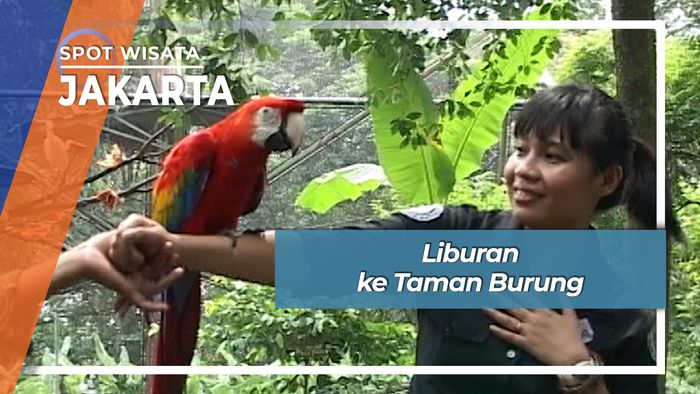 Liburan ke Taman Burung, Jakarta