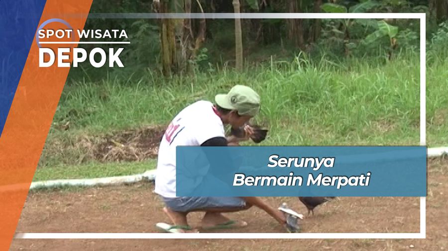 Serunya Bermain Merpati, Depok