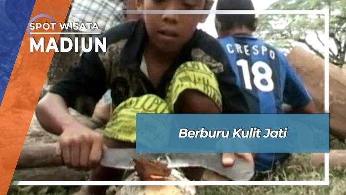 Berburu Kulit Jati, Madiun