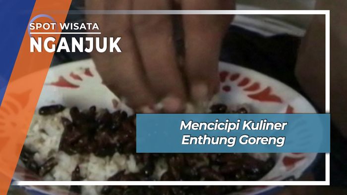 Enthung Ulat Daun Jati Goreng Desa Poteluh Bagor Nganjuk