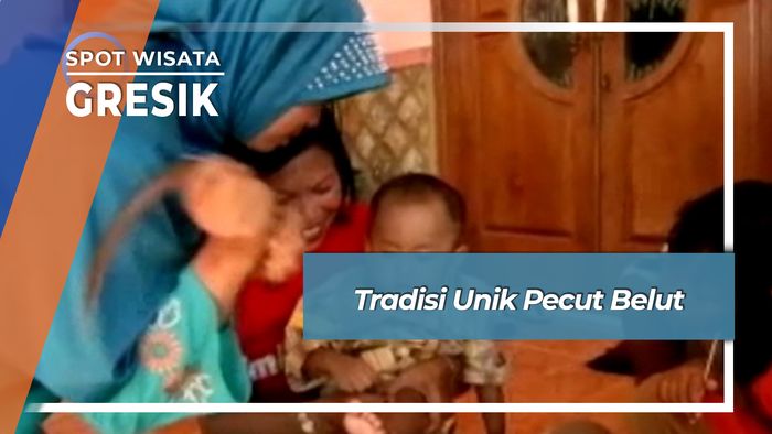 Unik Menarik Tradisi Pecut Belut Gresik