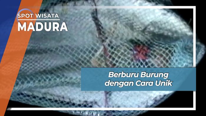 Seru Asik Buru Burung dengan Jaring Unik Kowel Pamekasan Madura