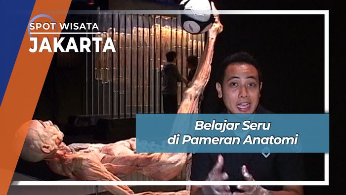 Belajar Seru di Pameran Anatomi, Jakarta