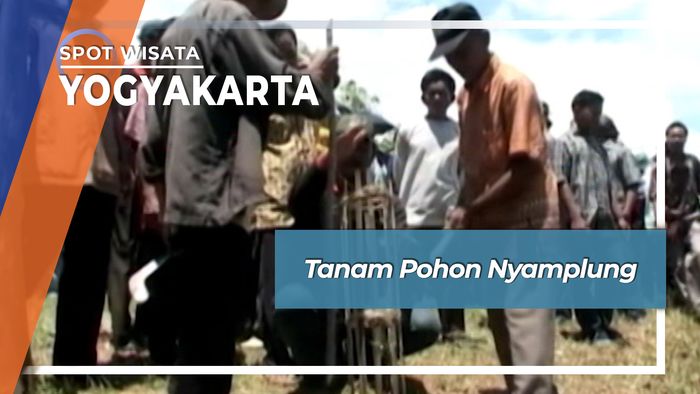 Tanam Pohon Nyamplung, Yogyakarta