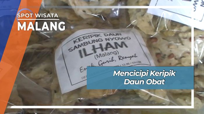 Khasiat Renyah Keripik Daun Obat Malang