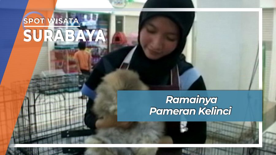 Ramai Menarik Pameran Kelinci Surabaya