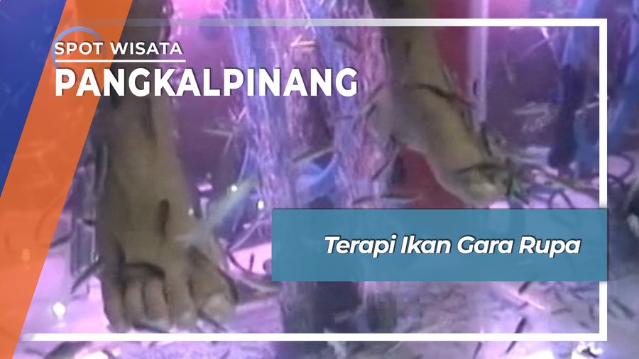 Terapi Ikan Gara Rupa Pangkalpinang