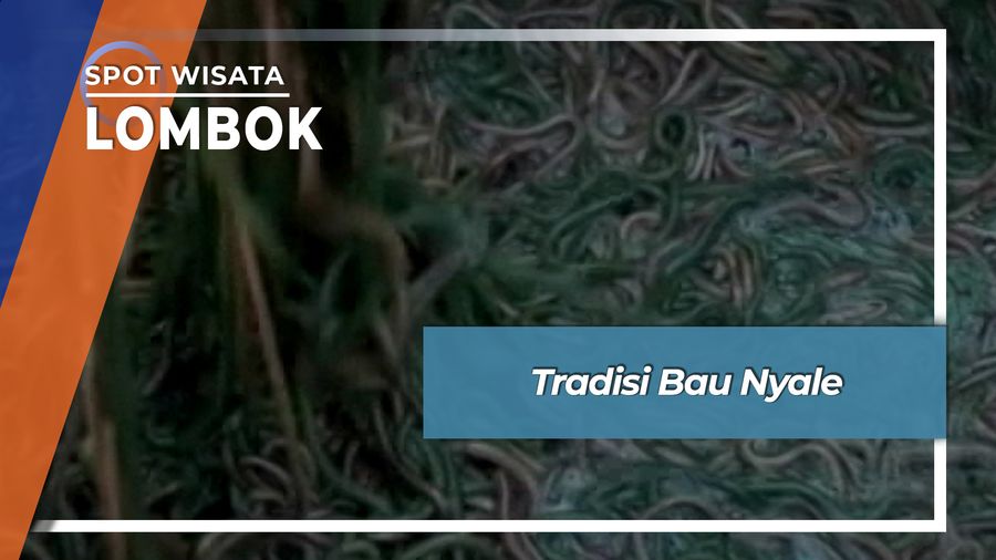 Tradisi Bau Nyale, Lombok