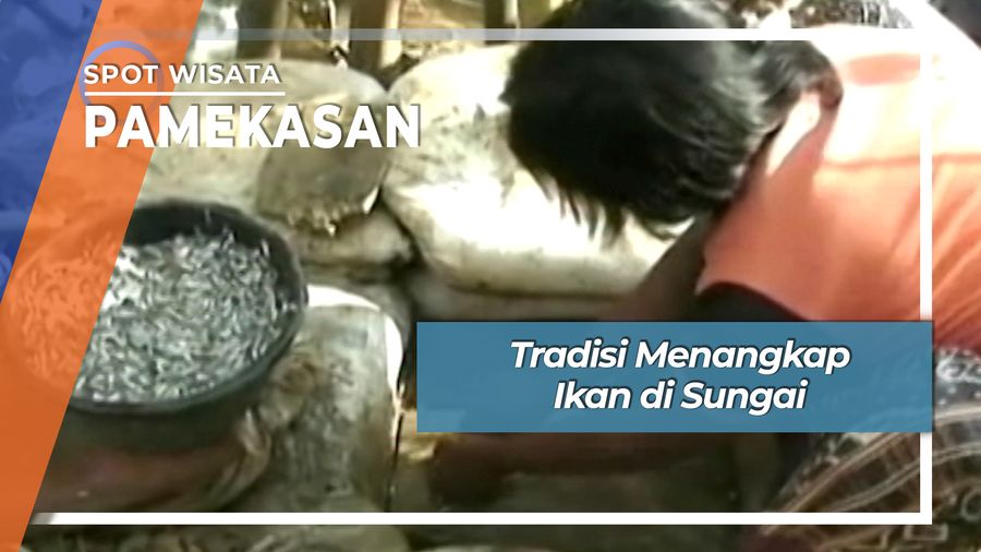 Tradisi Menangkap Ikan di Sungai, Pamekasan