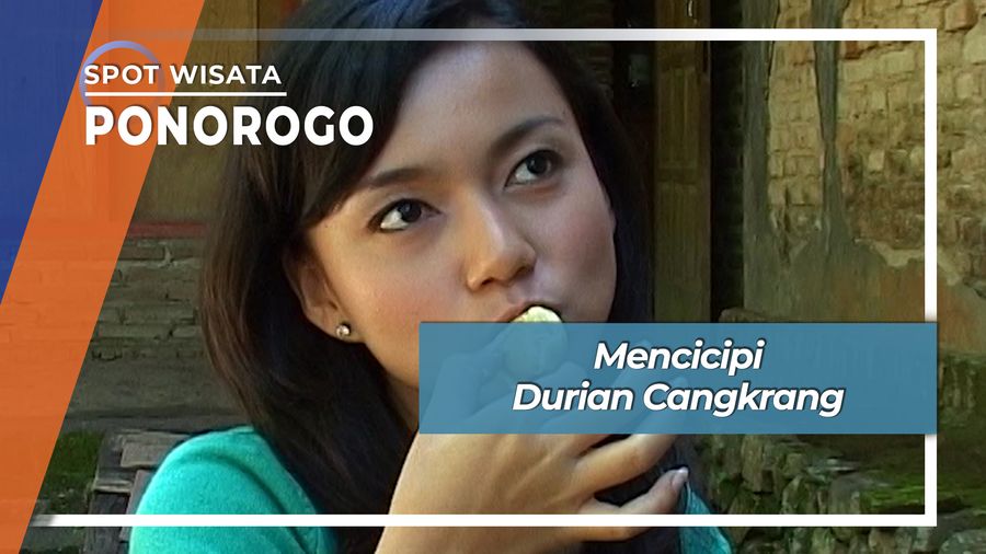 Enak Nikmat Durian Cangkrang Telaga Ngebel Ponorogo