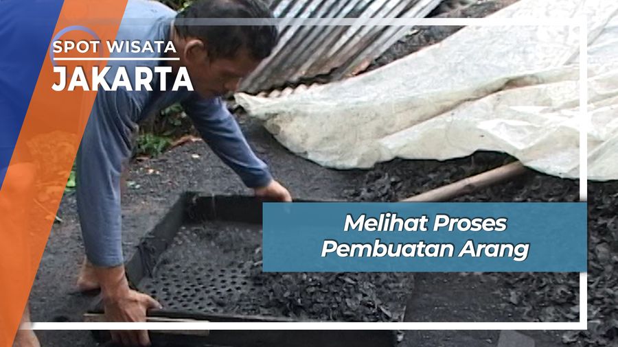 Melihat Proses Pembuatan Arang Jakarta 