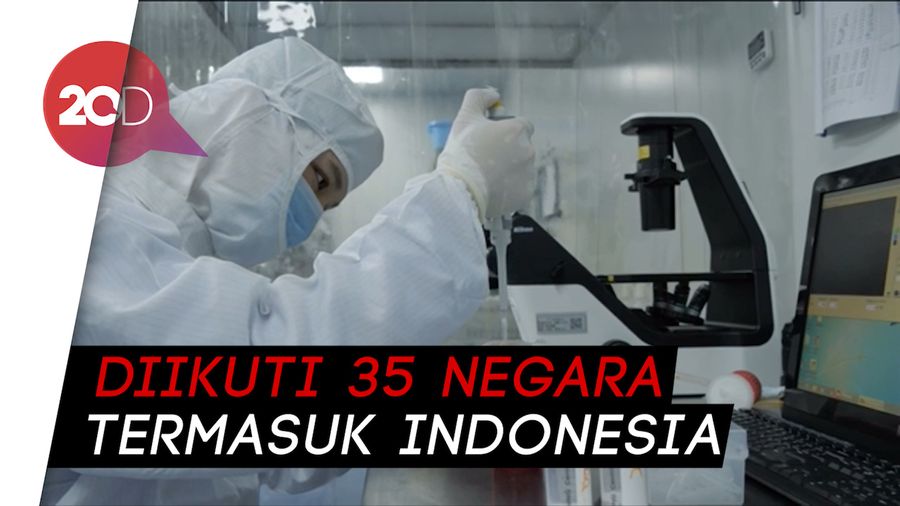 WHO Galang Solidaritas untuk Keadilan Vaksin Corona