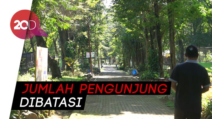 Segera Dibuka, Taman Satwa Taru Jurug Siapkan Protokol New Normal