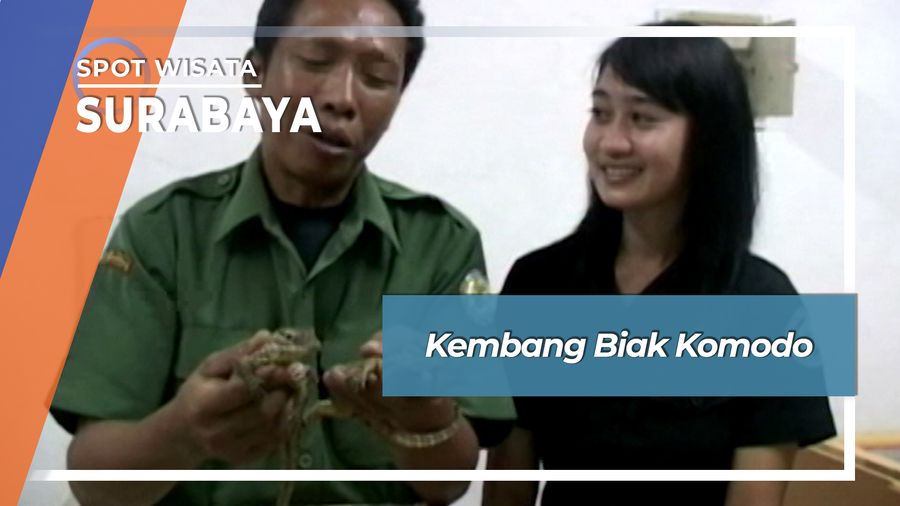 Kembang Biak Komodo, Surabaya