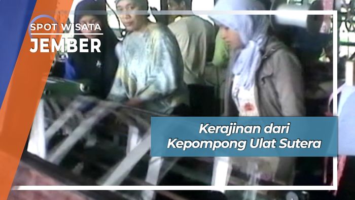 Kerajinan Kepompong dari Ulat Sutera, Jember