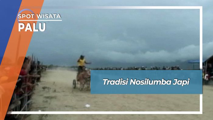 Tradisi Nosilumba Japi, Palu