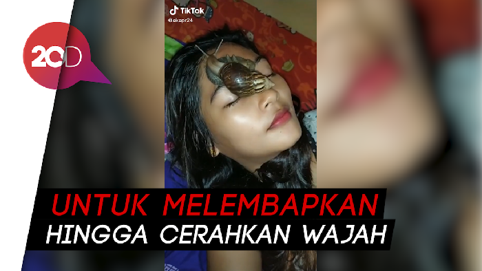 Viral Wanita Perawatan dengan Siput di TikTok, Ini Manfaatnya