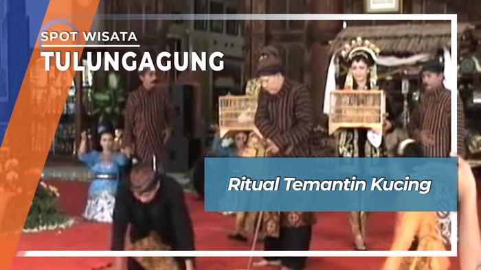 Ritual Temanting Kucing, Tulungagung