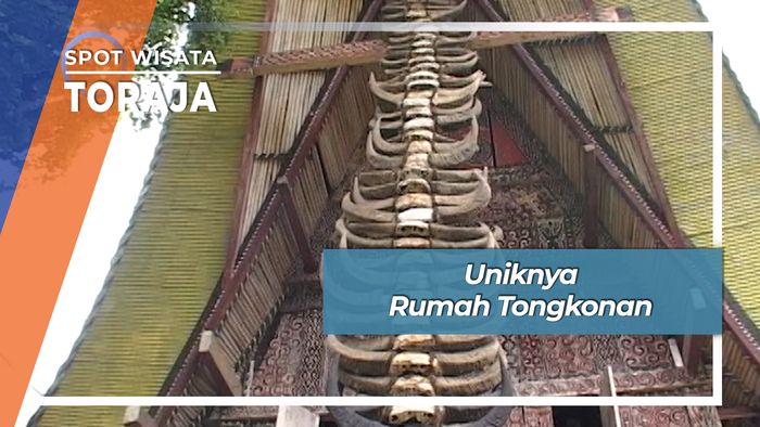 Uniknya Rumah Tongkonan, Toraja