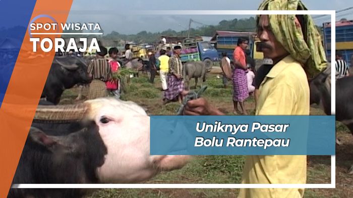 Uniknya Pasar Bolu Rantepau, Toraja