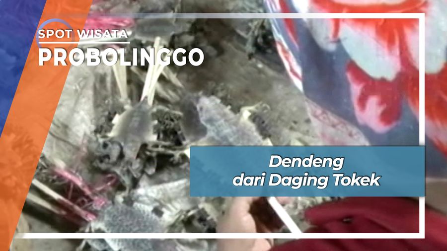 Dendeng dari Daging Tokek, Probolinggo