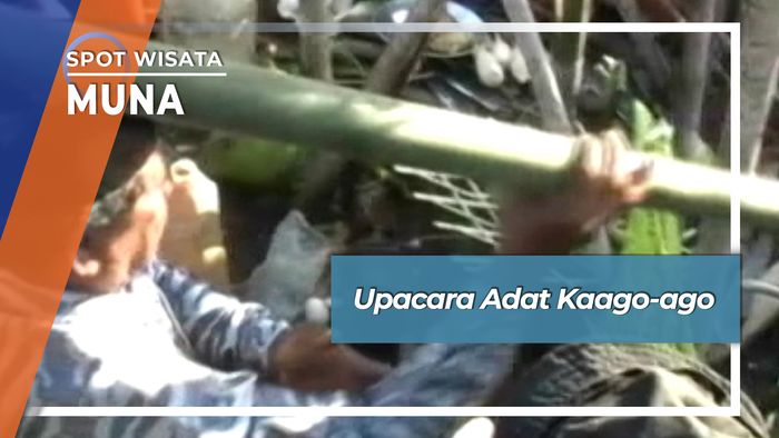 Upacara Adat Kaago-ago, Muna