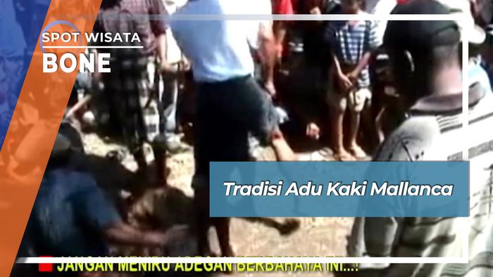 Tradisi Adu Kaki Mallanca, Bone
