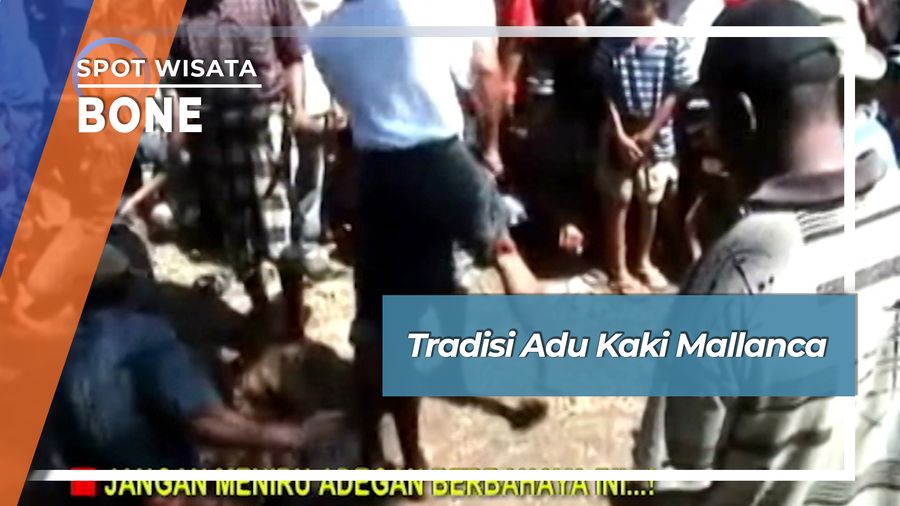 Tradisi Adu Kaki Mallanca, Bone