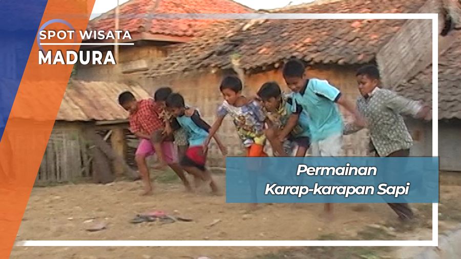 Permainan Karapan Sapi Ala Anak Madura