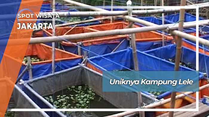 Kampung Lele Kapuk Cengkareng Jakarta