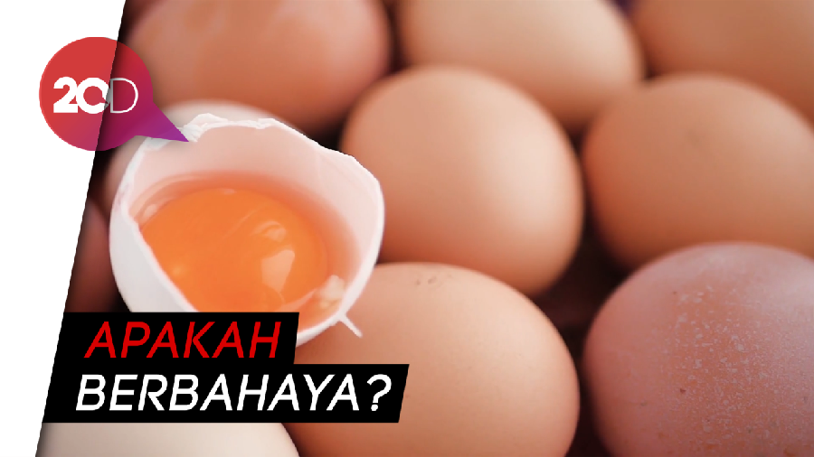 Ciri Telur Infertil yang Dilarang Beredar oleh Pemerintah